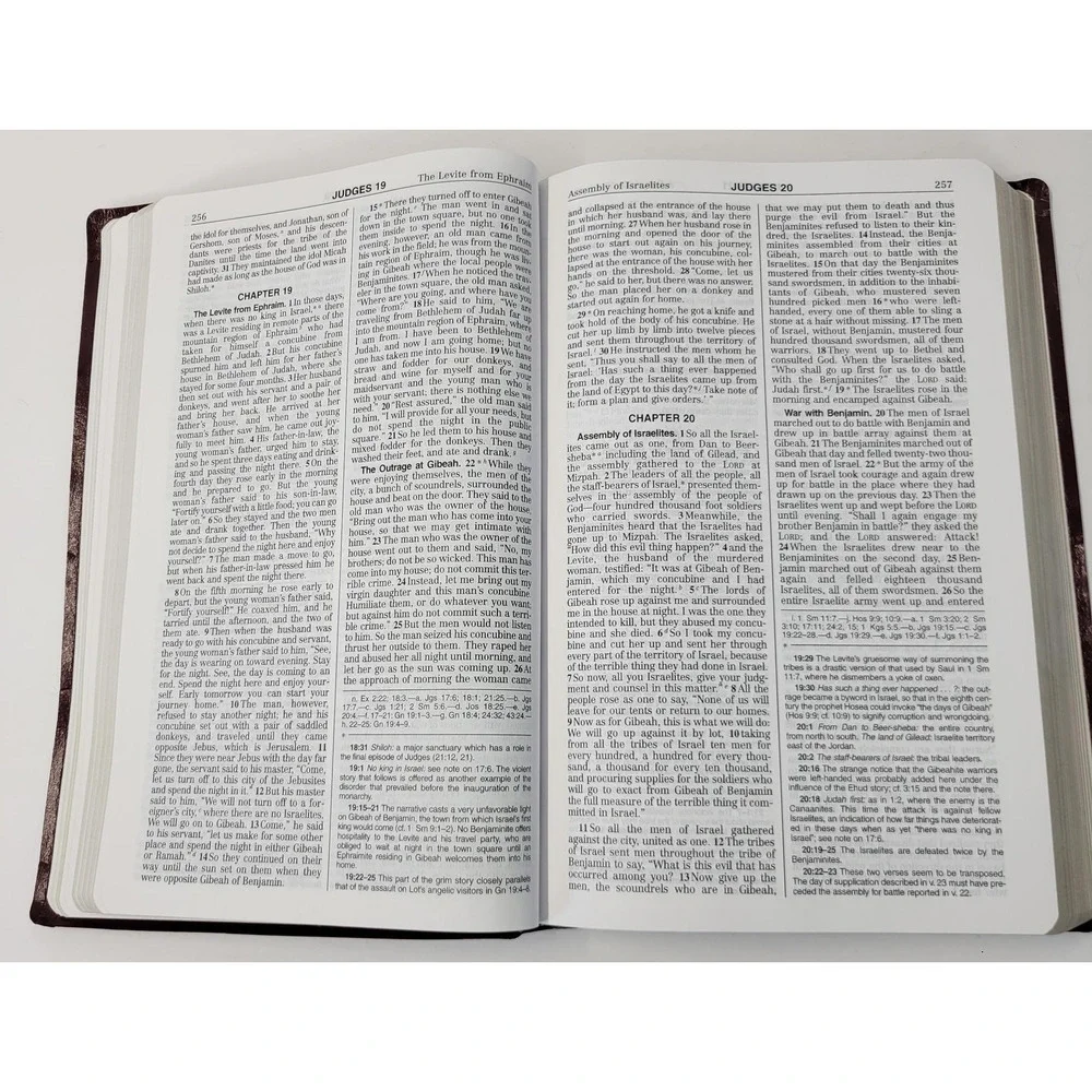 The New American Bible Revised Edition NABRE Catholic Burgundy Leatherette Cover